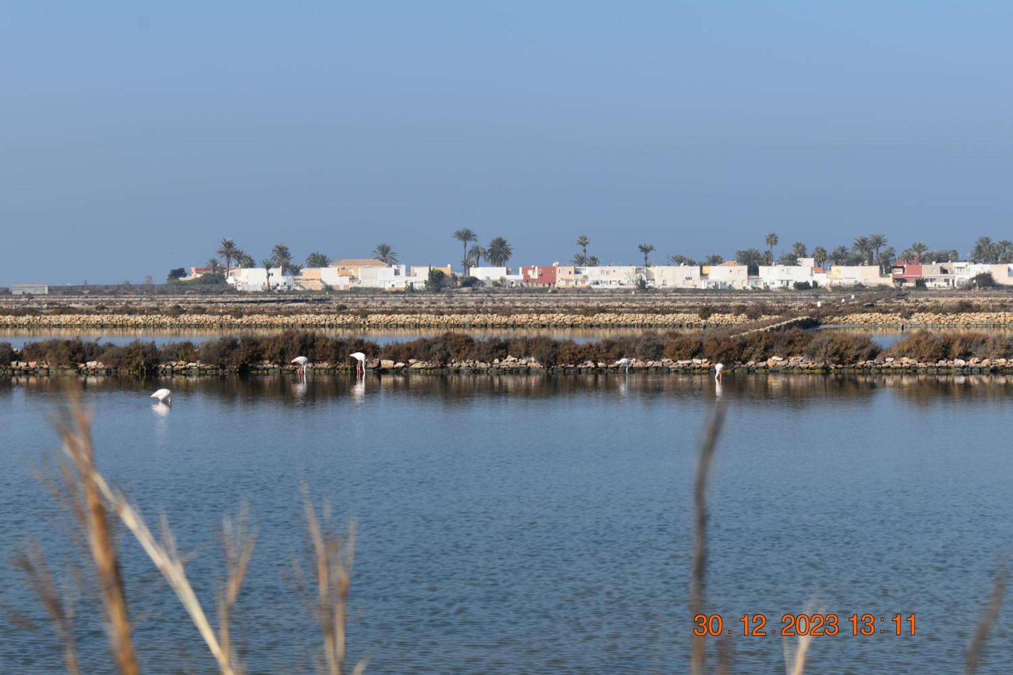 Apart Turisticos Marine Rest La Manga Mar Menor Piscinas Privadas Playa Paraiso  Екстериор снимка