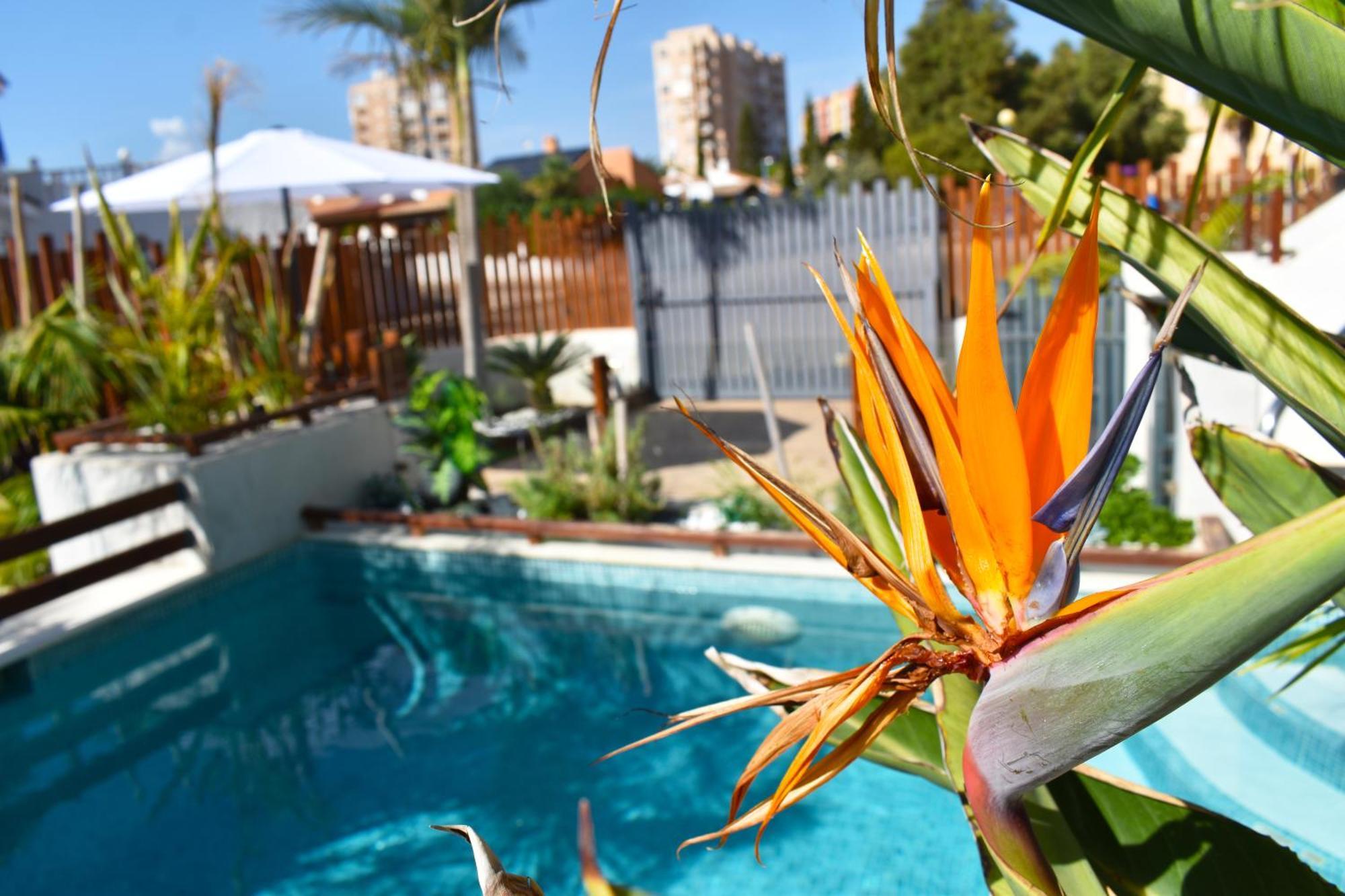 Apart Turisticos Marine Rest La Manga Mar Menor Piscinas Privadas Playa Paraiso  Екстериор снимка